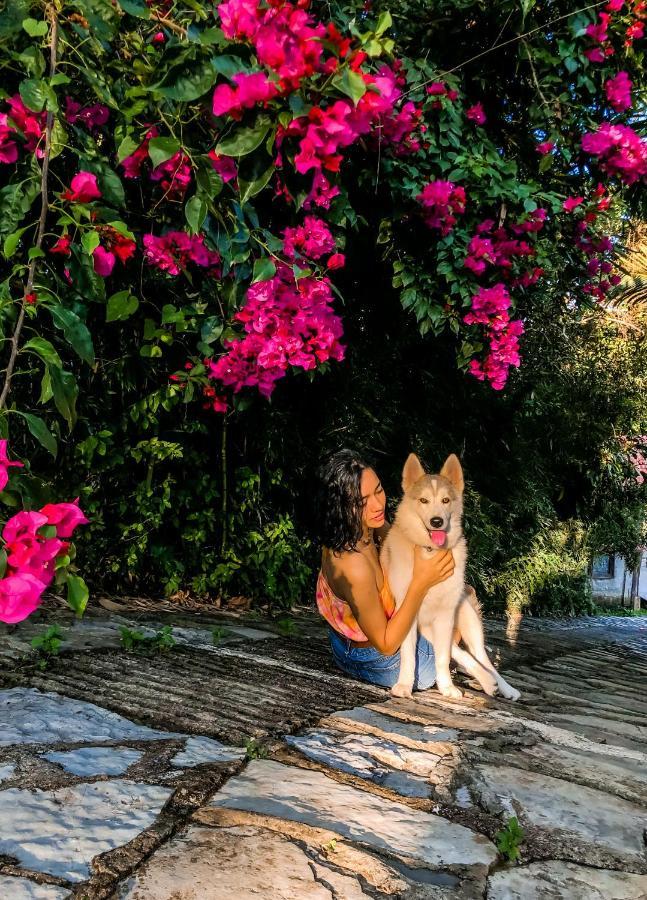 Cabanas Los Achicuales Cuetzalán del Progreso エクステリア 写真